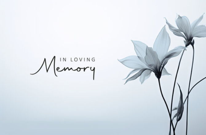 Erica Sanders Death, Obituary: Center Line Mother Killed in Fatal Shooting, Investigation Underway